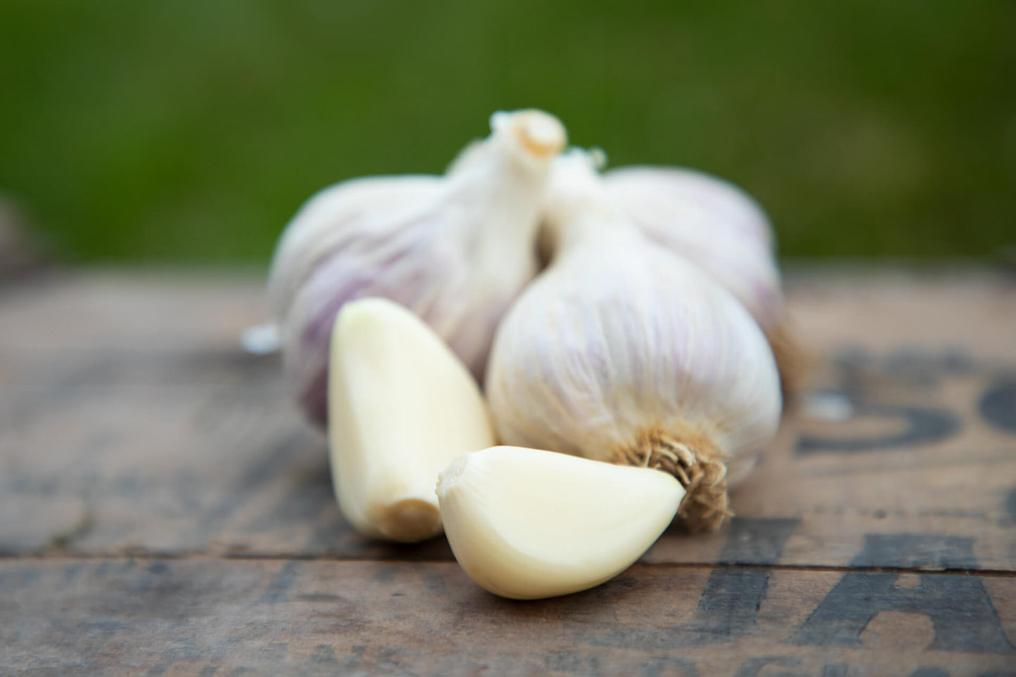 Lorz Italian Softneck